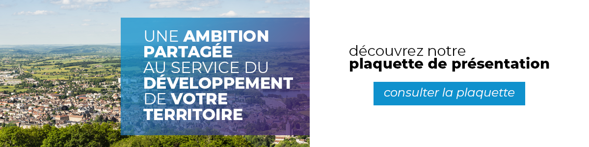 présentation générale Stratégies Locales