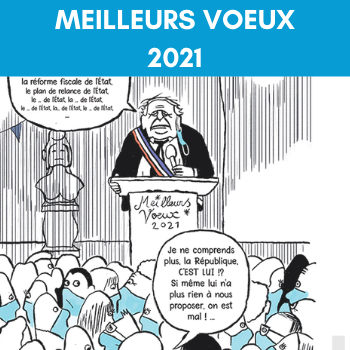 voeux Strtatégies Locales